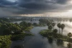GTA VI: uragani, oltre 170 animali e podcast radio nel mondo di Leonida